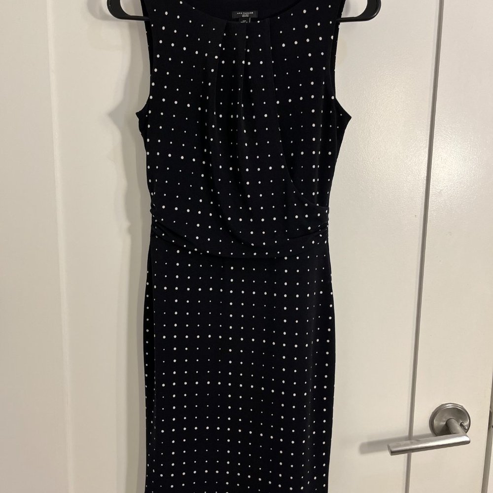 Ann Taylor Sleeveless White Polka Dot Dress in Navy Small Petite